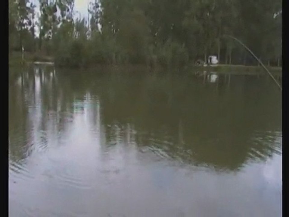 Combat d'une carpe miroir de 6 kg
