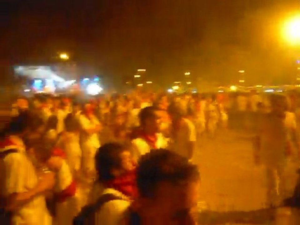 Fêtes de Bayonne 2010