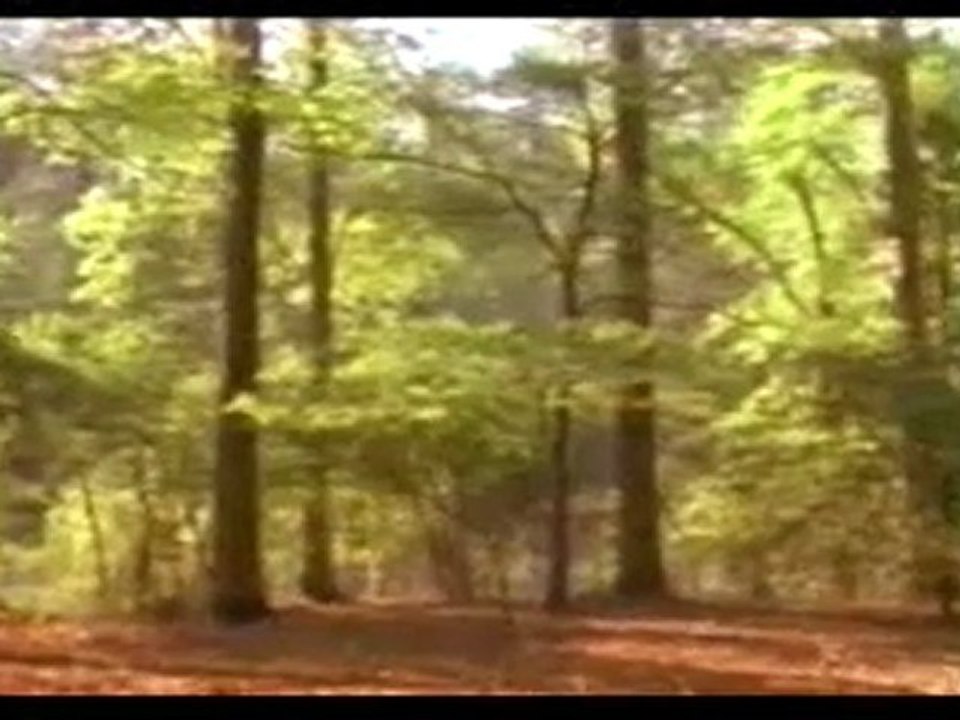 Monark'ın mucizevi göçü