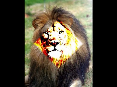 Nereus Joseph Feat Selah Collins & Afrikan Simba WARM THEM