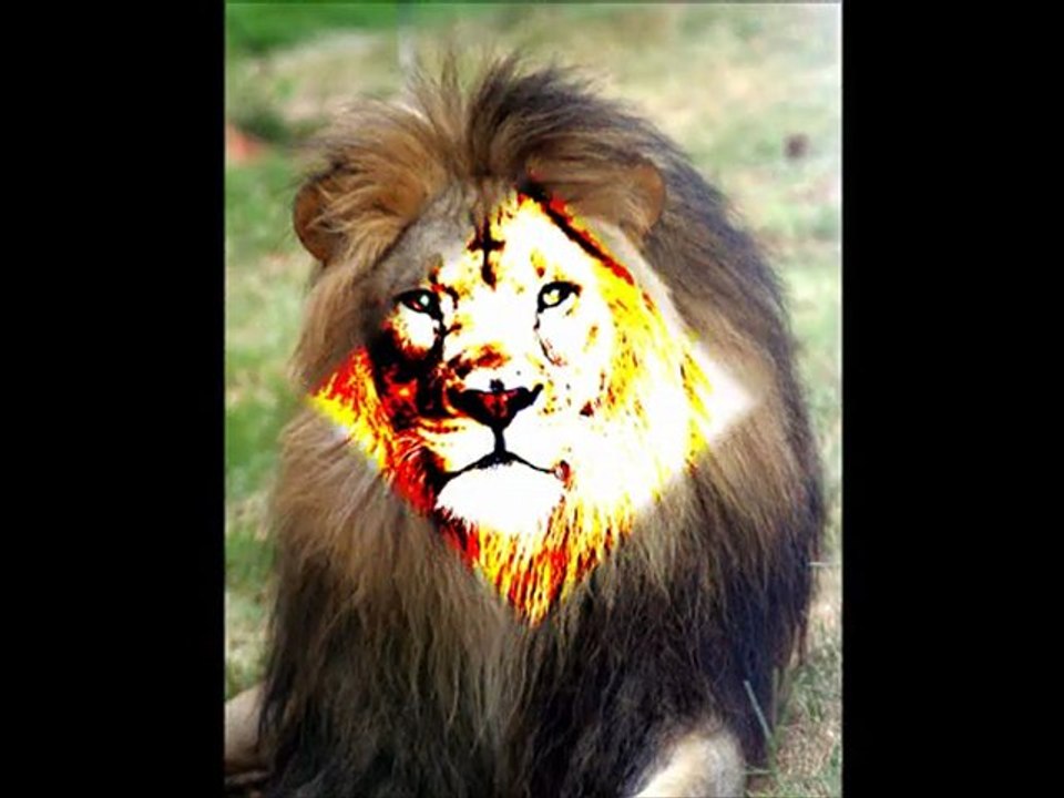 Nereus Joseph Feat Selah Collins & Afrikan Simba WARM THEM