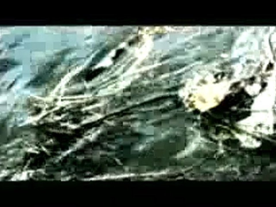 Somonların harika yolculuğu (2. Bölüm)