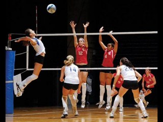 The Ultimate Vertical Jump Increase Program