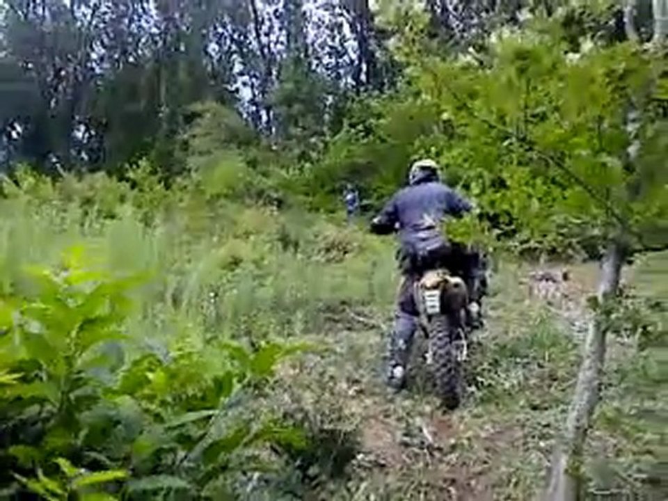 MOV00479