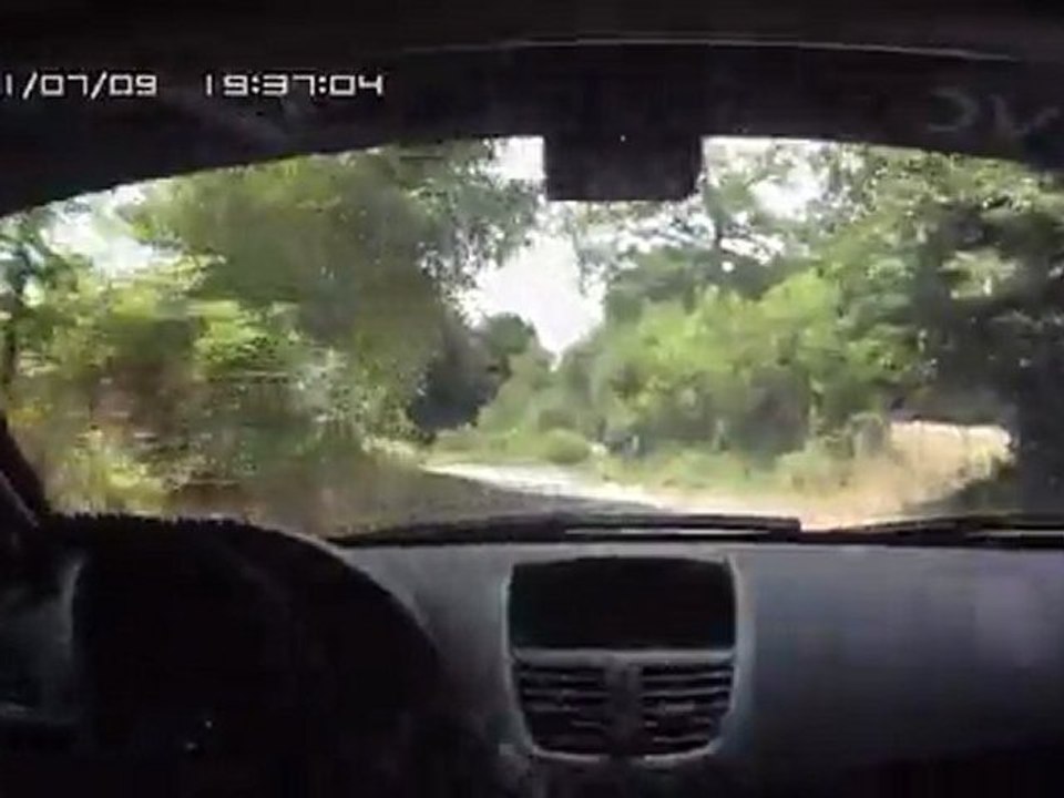 ES 7 RALLYE ROUERGUE 2011 J ANCIAN 207 RC