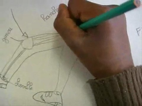 sciences cycle 3 mouvements corporels fc-mc-s1-e2-1