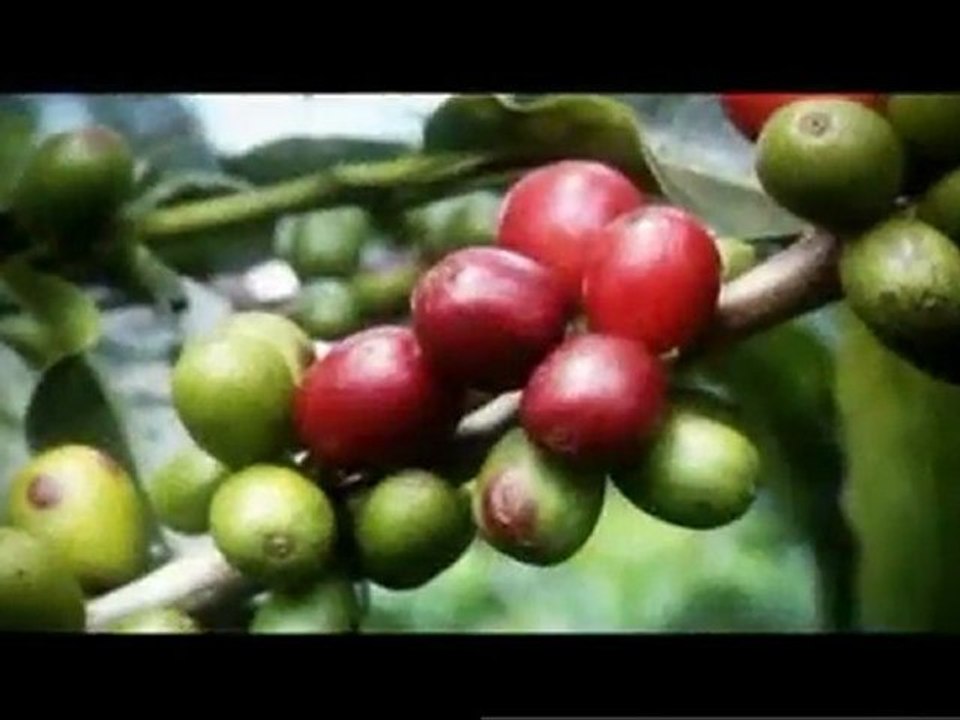 NOTI 6 DE JULIO