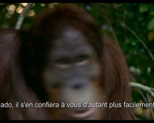 confidences