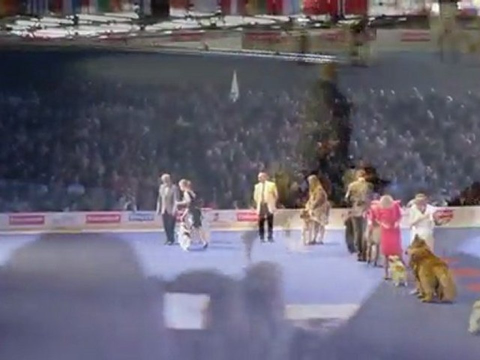 WORLD DOG SHOW 2011