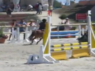 CSO Poney A1