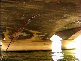 2011-07-12-SEINE-PARIS