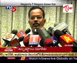 Nagam's Telangana Nagara Draws Flak
