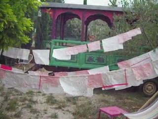 le linge sèche/copirates