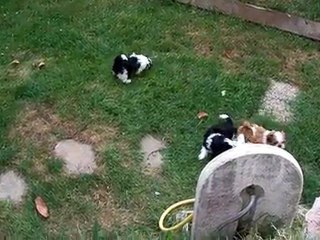 toujours les jeux extérieurs