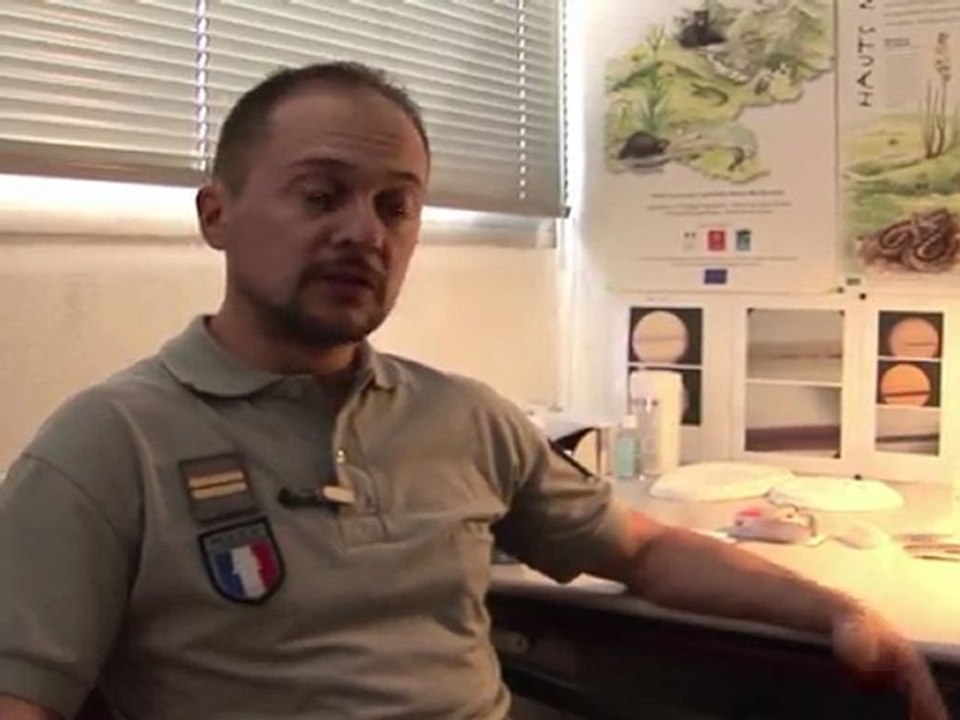 We're going on a bear hunt, in the Pyrenees