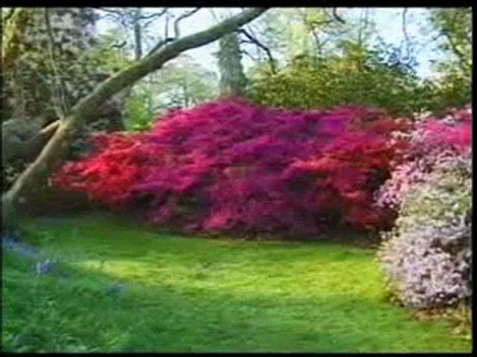 Peygamberimiz (sav)'e itaat eden Allah'a itaat etmiş olur