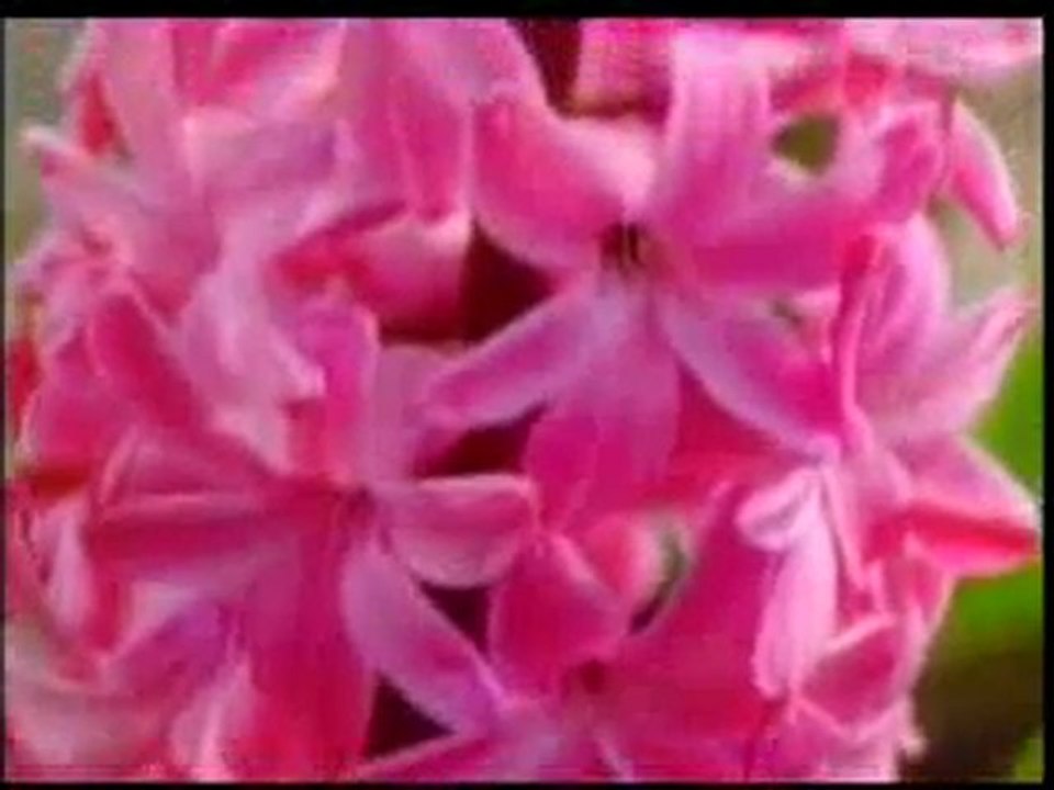 Hz. Süleyman, Hz. Zülkarneyn ve Mehdi benzerlikleri