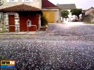 Download Video: Des tempêtes de grêle vues par nos témoins BFMTV