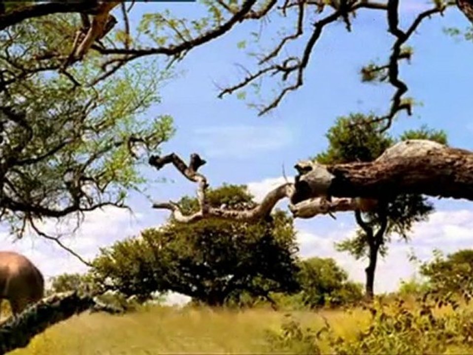 Die erben der saurier e04 die opfe schlafen zurueck