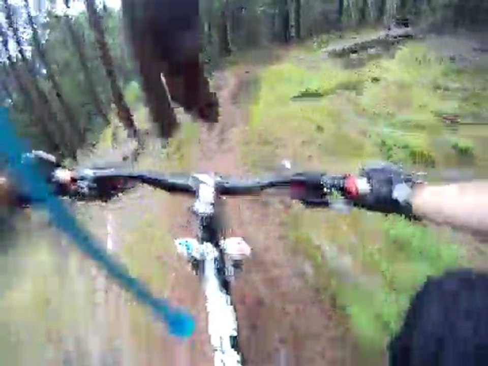 que du bonheur !