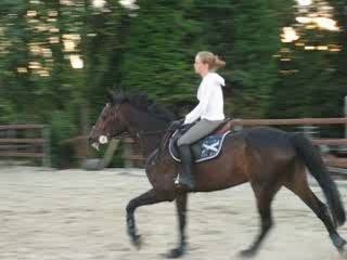 Mon bouc en action