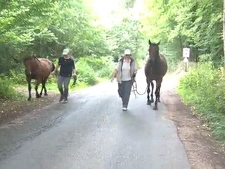 13.07.4 ème sortie pour Tliloa, accompagnée de Ténébra