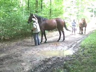 13.07.2011. 4 ème sortie pour Tliloa, accompagnée de Ténébra