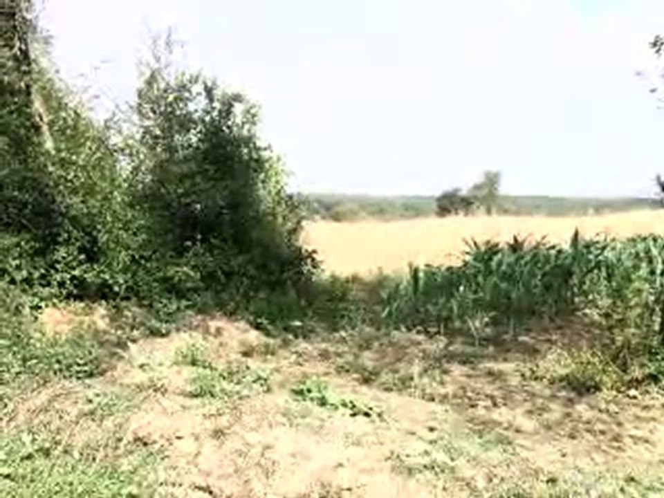 HAZER EMLAK TEL: 0546 851 6657  KAYNARCA SATILIK ARSA  22.000 TL