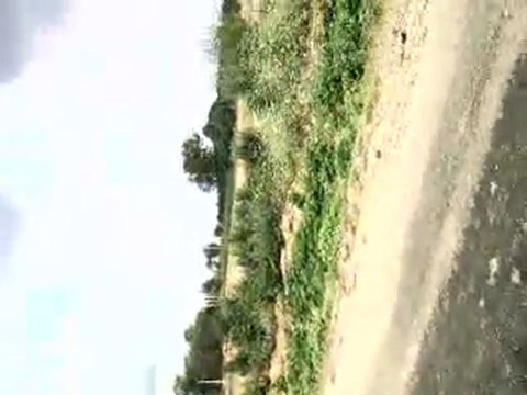 HAZER EMLAK TEL: 0546 851 6657 KAYNARCA SATILIK TARLA