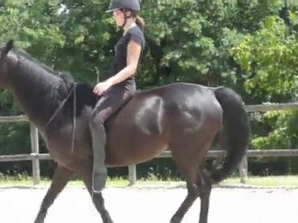 emir 13 juillet 2011