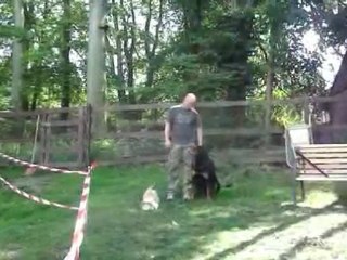 Visite chez l'eleveur ADRK vom hardebuscher hof