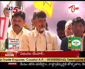 Chandrababu Demand to Congress Jpc on 2G Spectrum