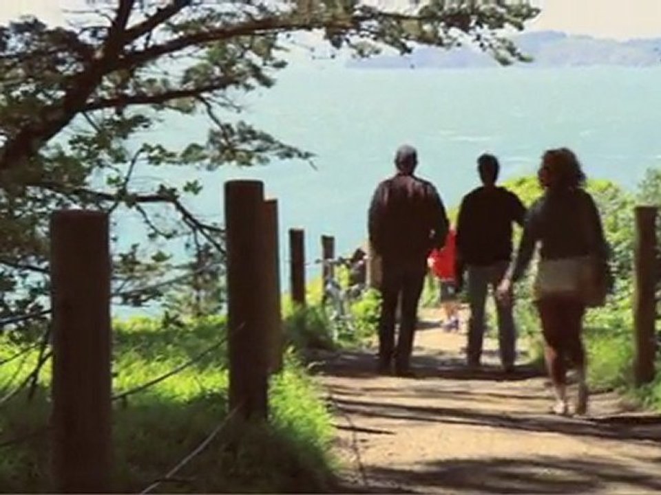 Vetiver - The Errant Charm (Album Promo Video)
