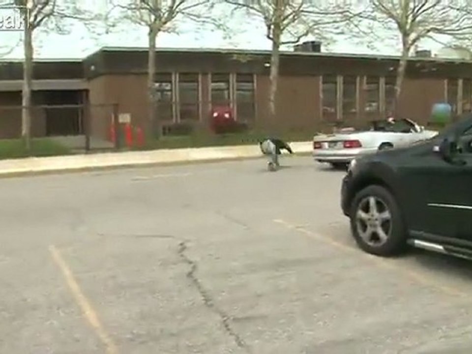 Kidnapping Fail