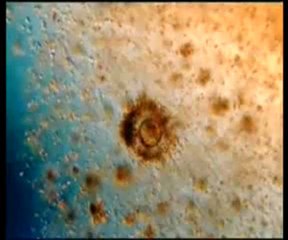 karma felsefesi ve reankarnasyon Kuran ayetleri reenkarnasyonu yalanliyor