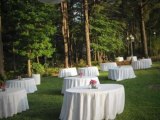 Longview Wedding Venues – Garden of Vows