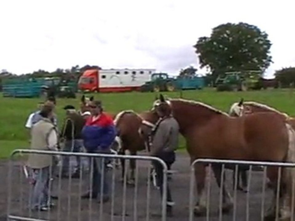 CEMBOING : CONCOURS DE CHEVAUX