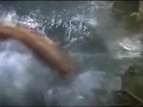 Как погиб Vanomas