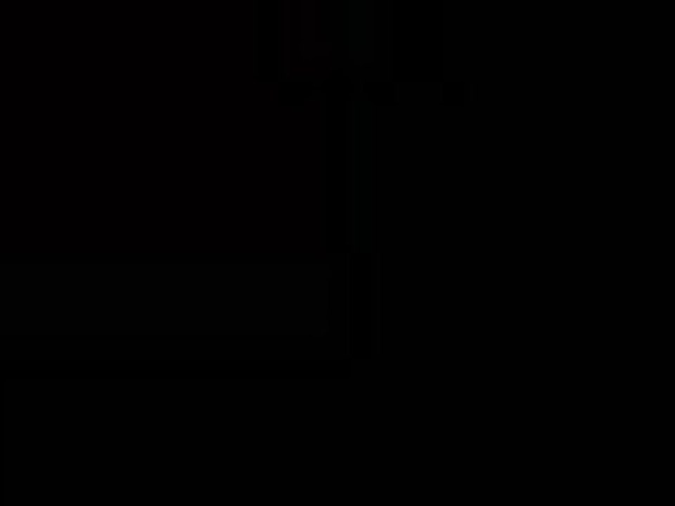 DSCN1082