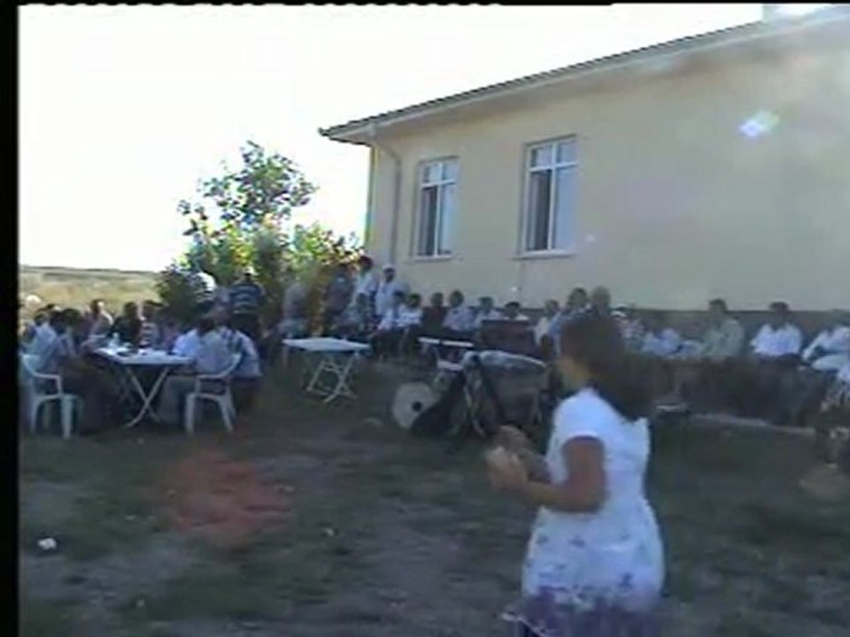Şenlik 2011 - 01