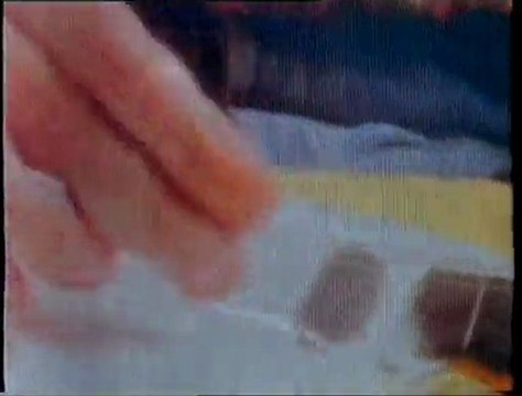 Jeff Healey Band - While My Guitar Gently Weeps