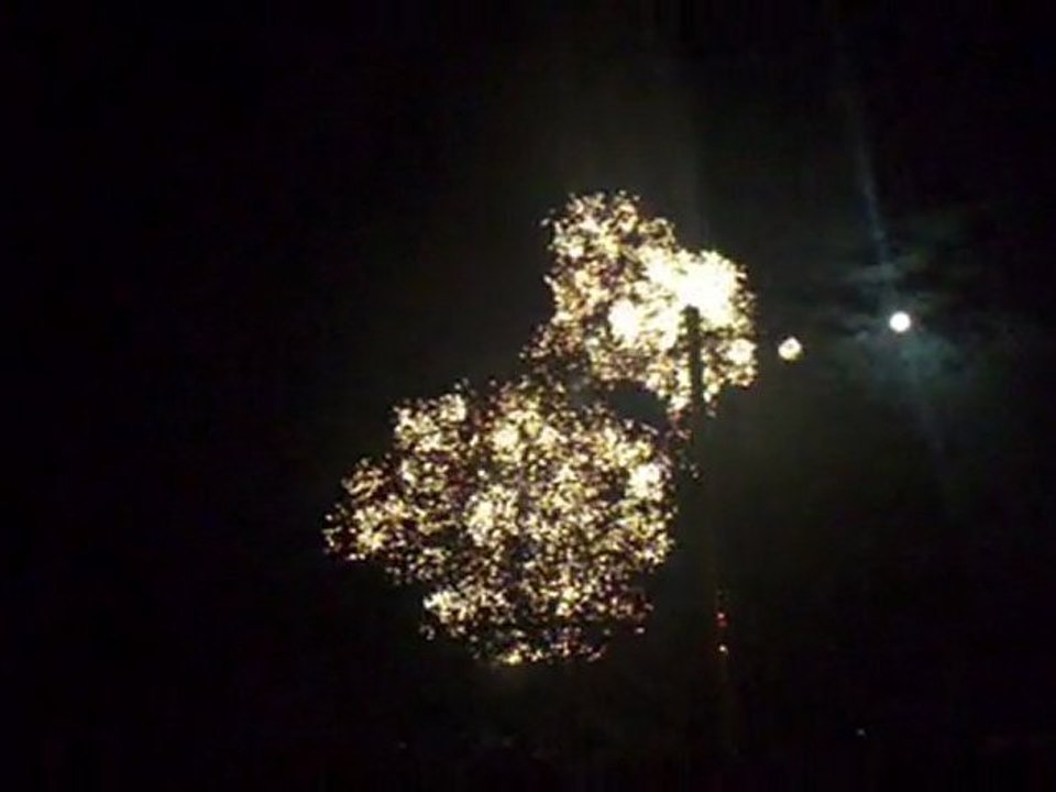 Firework 14 July