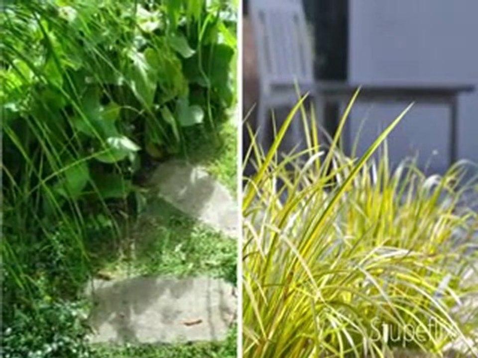 Paysagiste, www.lesbojardins.com, aménagement  jardin, créer un jardin, modèles de jardins, jardin terrasse, entretien jardin