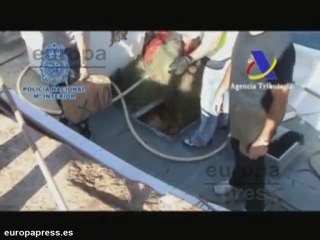 Detienen a 15 personas acusadas de narcotráfico