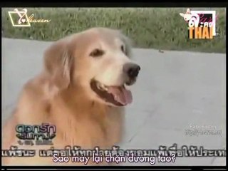 [Y-heaven.net] Dok Ruk Rim Tang Ep1_clip2