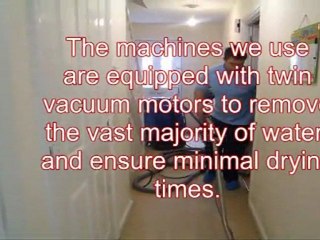 Herts Carpet Cleaning1