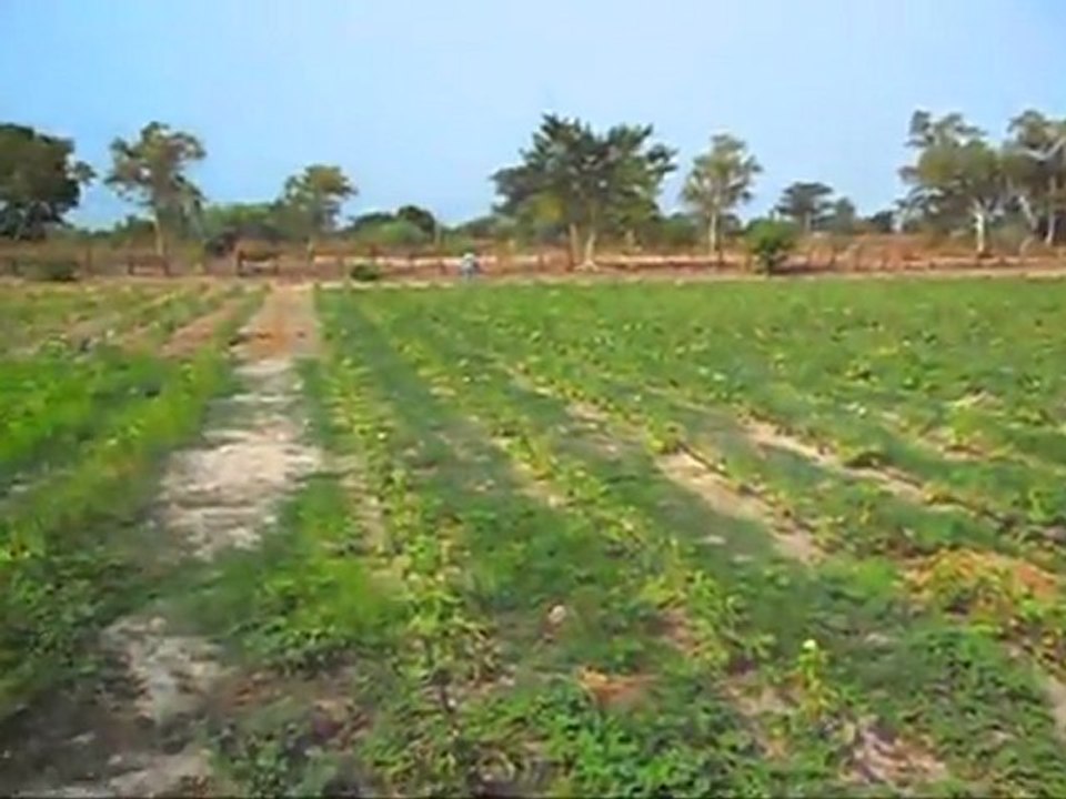 Le jardin de l'espoir2