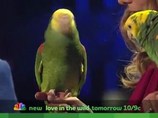 Americas Got.Talent 2011 - Echo of Animal Gardens - Quarter-Finals Performance