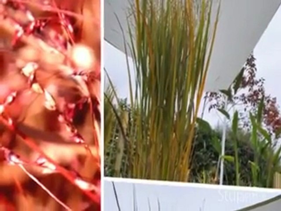 Aménagement jardins, création et entretien jardins, www.lesbojardins.com réseau de paysagiste