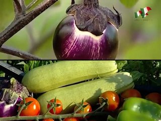 Decimoputzu - speciale 150 anni